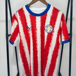 Paraguay Home kit - Fan issue