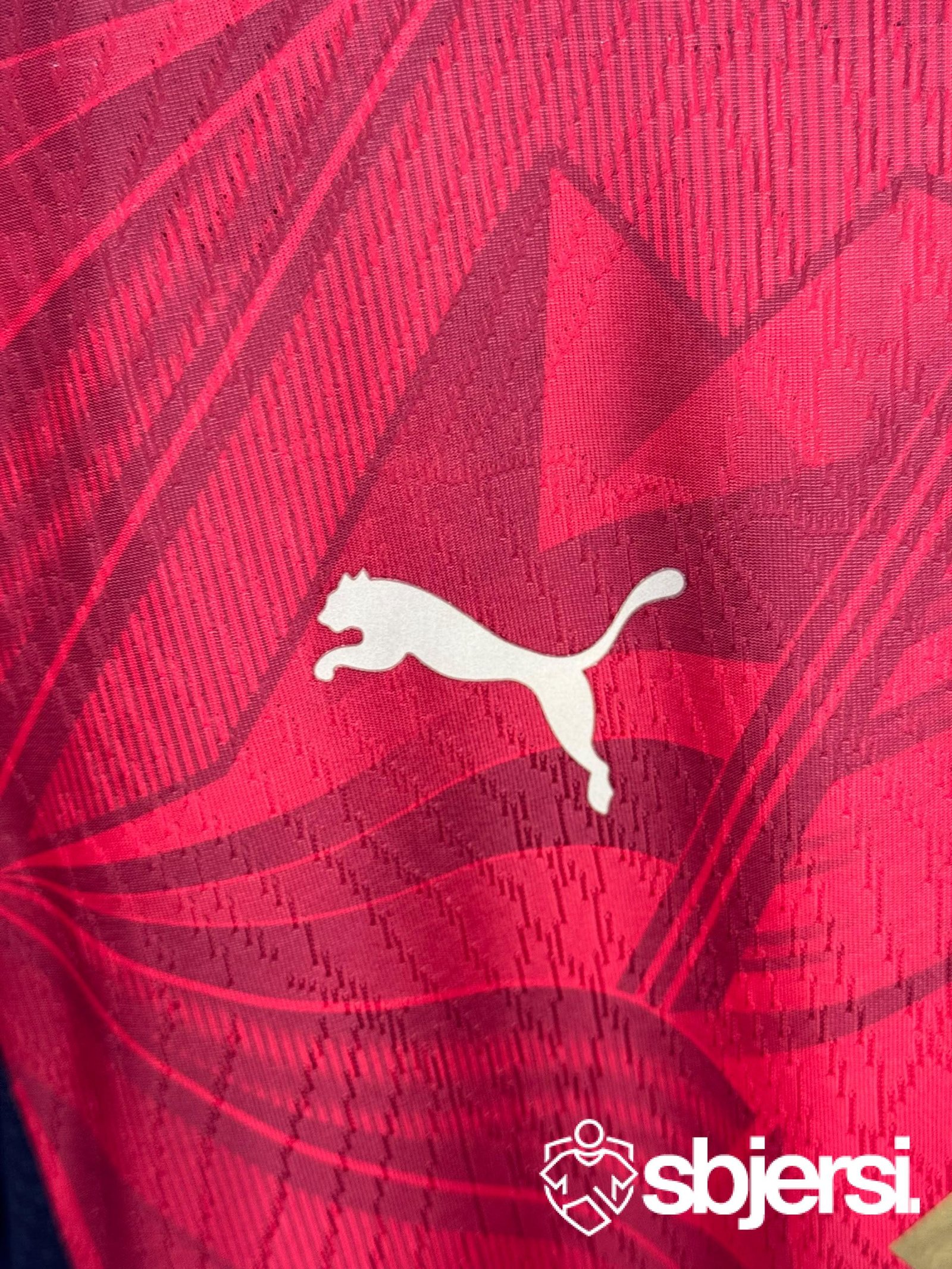 Egypt Home kit (Salah) - Player issue - Image 4