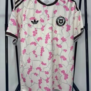 Chile Away kit - Fan issue