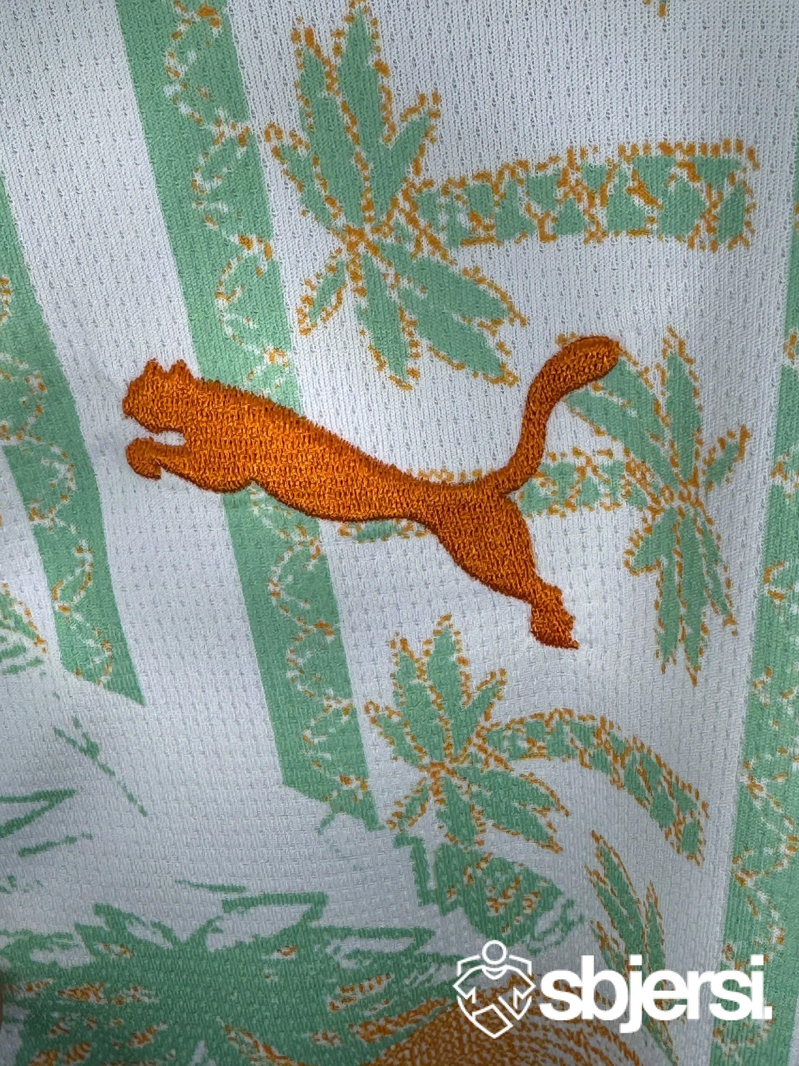 Ivory Coast Away kit - Fan Issue - Image 4